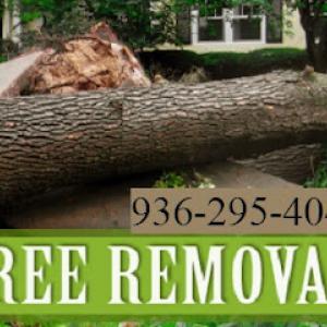 Oliphant Tree Service