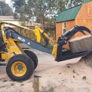 Wayne's Tree Service