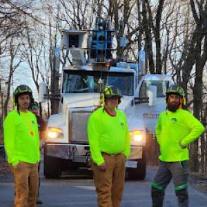 Bledsoe Tree Service