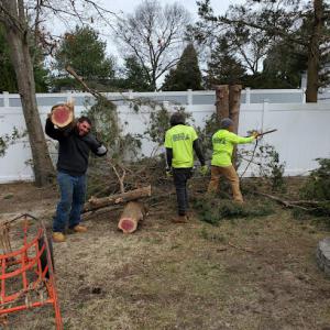 Long Island Lumber Jack of New York