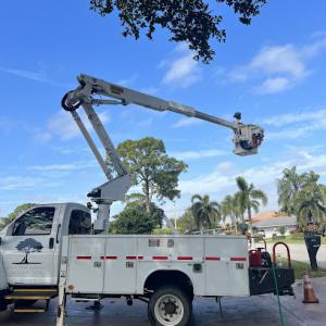 Dixie Tree Services