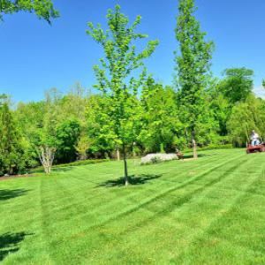 Kalamazoo Lawn Care