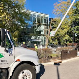 A&E Tree Service