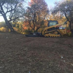 Justintime Tree Removal Stump Grinding & Excavating