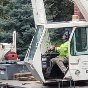 Affordable Tree Care