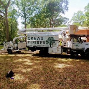 Crews Timber & All Type Tree Service