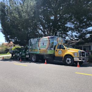 Gruett Tree Company