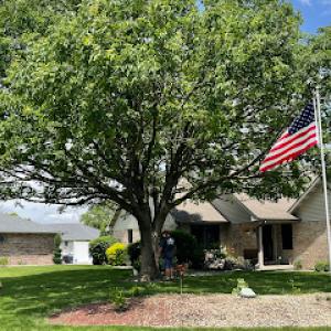 Arbor Care Tree & Landscaping