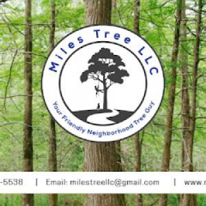 Miles Tree