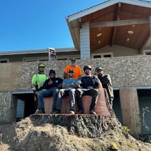 Dead Or Alive Tree Service