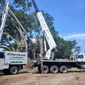 Allseasons Tree Service