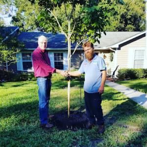 Andrews Tree Service - Arborist, Tree Trimming, Tree Removal &Tree Care in Leesburg FL