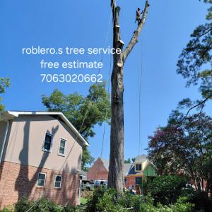 Roblero Tree Service