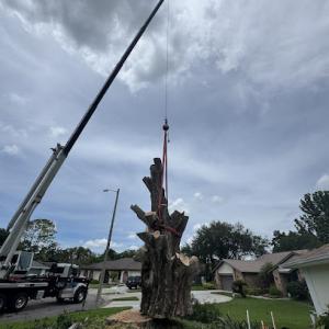 Buccaneer Tree Service