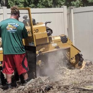 Grind Time Stump Grinding