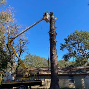 J. Hall Construction & Tree Service