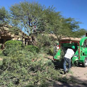 AZ Desert Tree Care