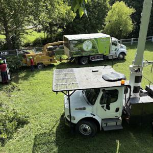 JRM Tree Service Care For Life LLP