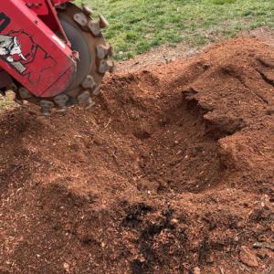 Thomas Stump Grinding
