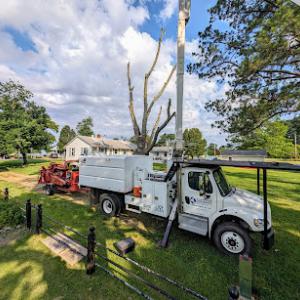 Rolling Oak Tree Service