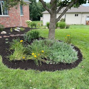 Priority Lawn & Landscape