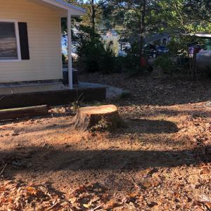 Sain’s Stump Grinding
