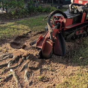 Florida Tree & Stump