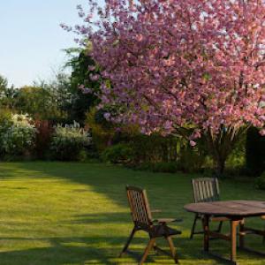 Vickery Lawn Service