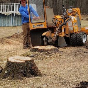 Donnie Lord's Stump Grinding Services