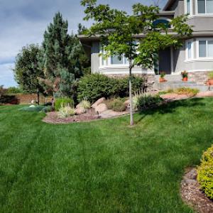 Thrive Lawn Solutions