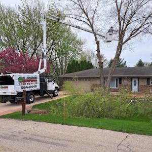 Olson Tree Service