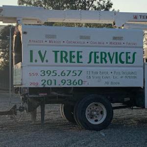 I.V. Tree Services
