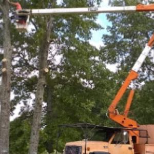 Valley Tree Service