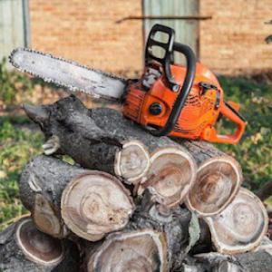 El Gabilan Tree Service