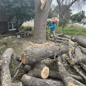 Solutions JF Landscaping & Tree Services