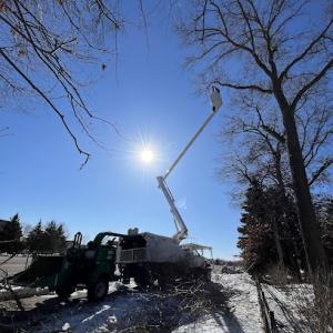 River City Tree Service