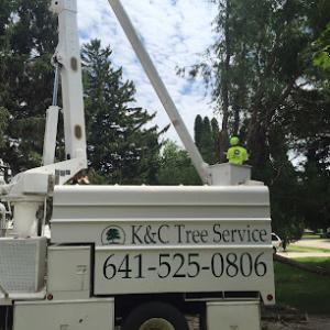 K&C Tree Service