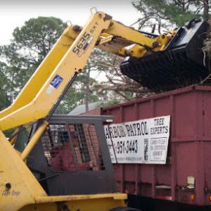 Arbor Patrol Tree Service