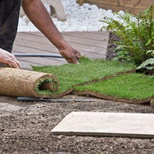 Temecula Landscaping Guys