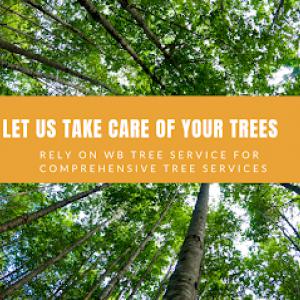 WB Tree Service