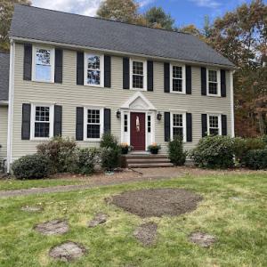 Big Cat Stump Removal
