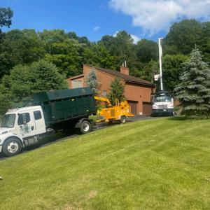 Orange County Tree Service