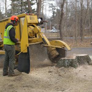 Midland Tree Service