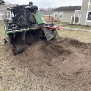 Treemendous Forestry