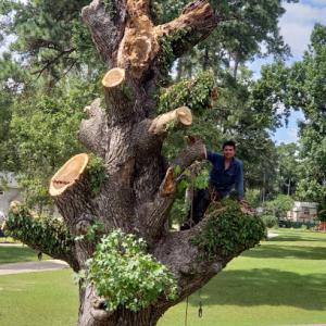 J & J Custom Tree Service