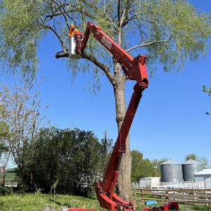 Wilson’s Tree & Shrub Services