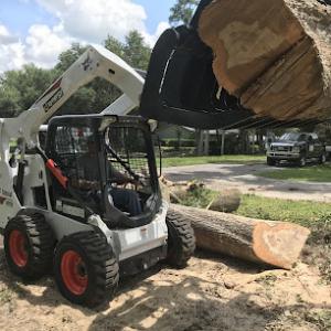 Drummond's Tree Service