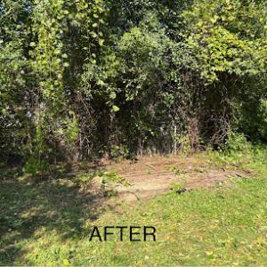 Mid Mitten Outdoor Solutions