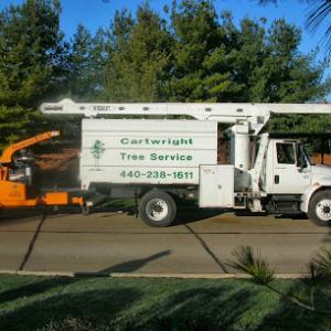 Cartwright Tree Service