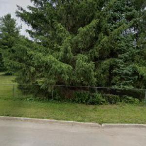 Billys Snow specialist